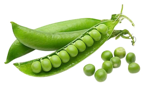 Proteína de arveja