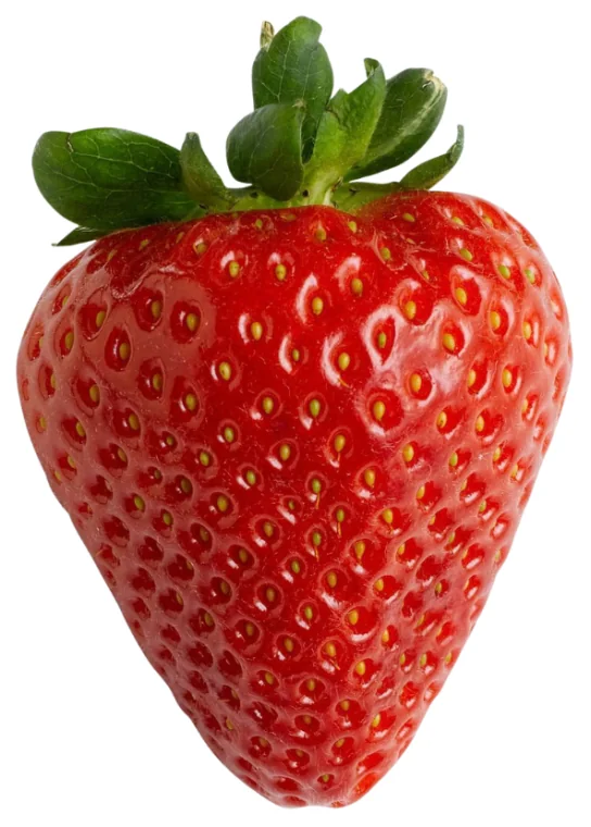 Brócoli